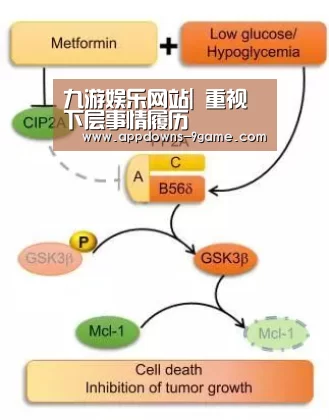 九游体育官网
