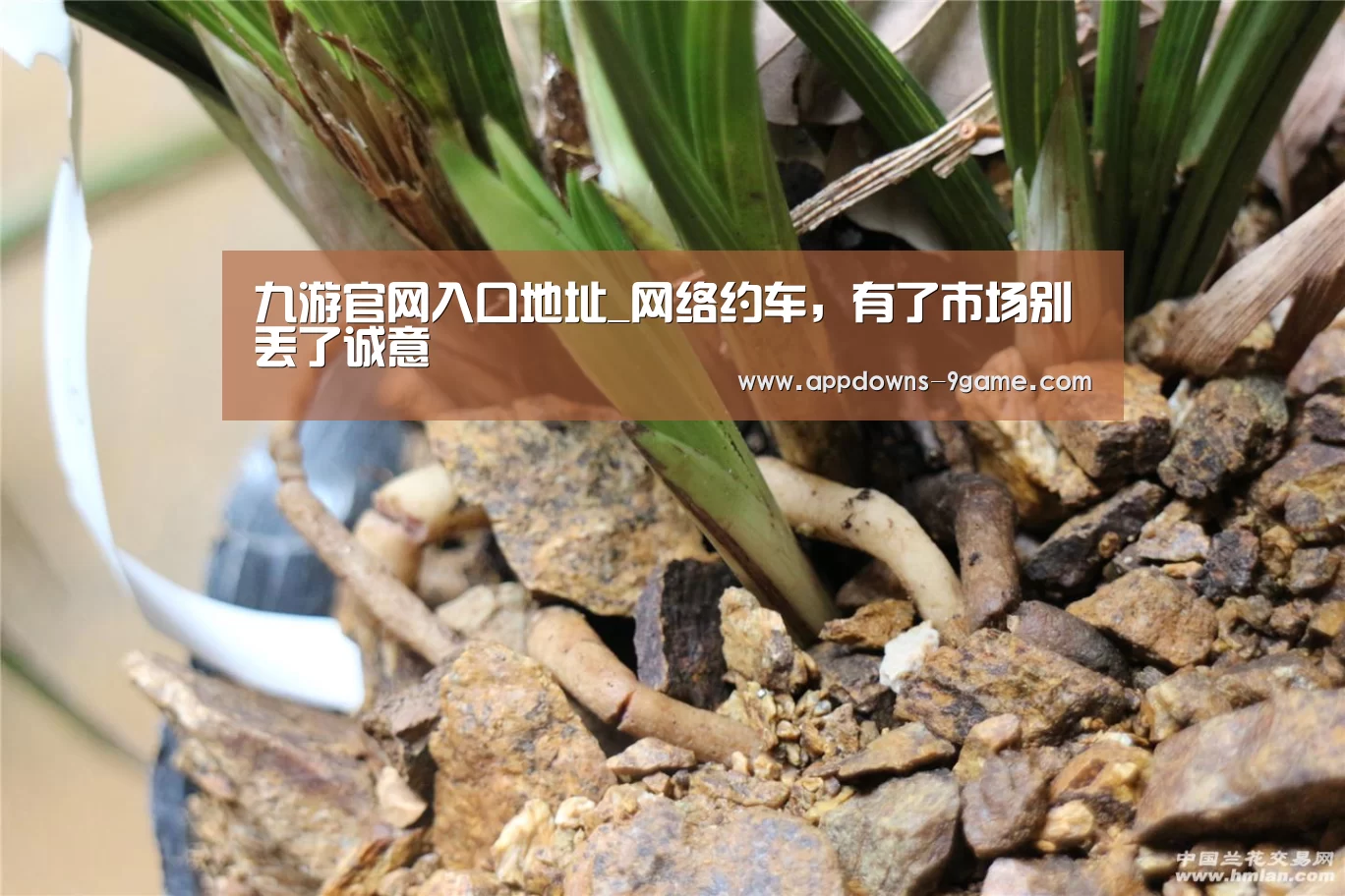 九游体育下载