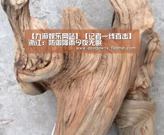 九游官网入口地址